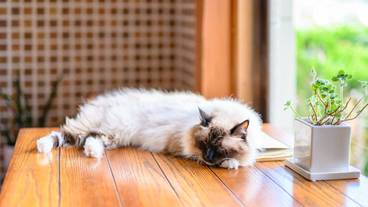 施設内の設備 / 12