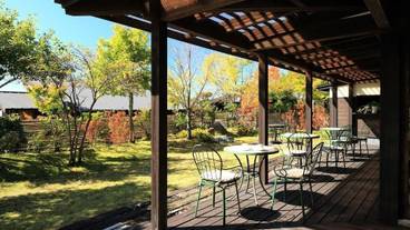 屋外ダイニングエリア / 14