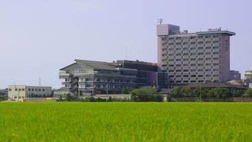 施設の敷地 / 27