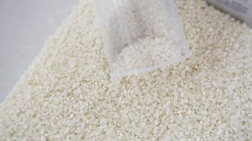 客室の設備とサービス / 11