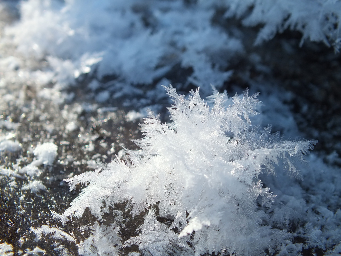 ＜プラン②＞幻想的で儚い花「フロストフラワー」の輝きに見入る1799212