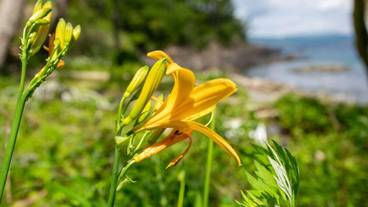 観光スポット / 20