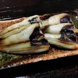 樽座敷　紀子（タルザシキノリコ）