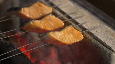 レストラン / 10