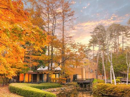 フォレストヴィレッジ / 1