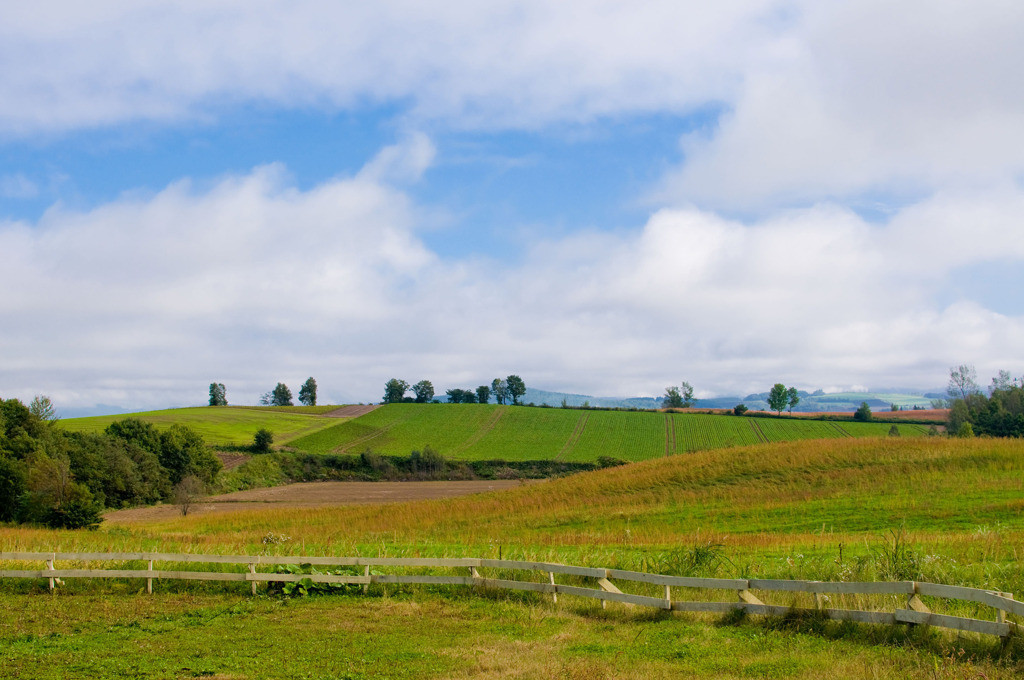 絵本の世界に泊まる♡スプウン谷のザワザワ村49607