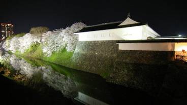 観光スポット / 5