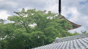 部屋からの景観 / 33