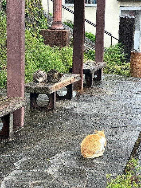 xox______michigoさんの写真 / 3