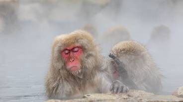 鉄道駅シャトル / 7