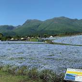 くじゅう花公園 キャンピングリゾート花と星（大分県 グランピング） / 3