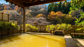 It's nice to be within easy reach ♩ Check out onsen resorts and inns near Tokyo 3351142
