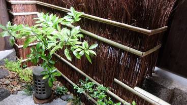 テラス / パティオ / 21