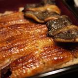 うなぎ割烹 大江戸（ウナギカッポウオオエド）