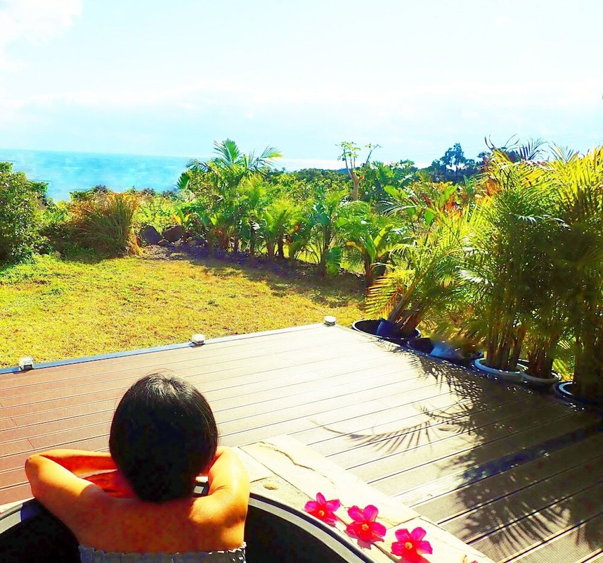 テラス / パティオ