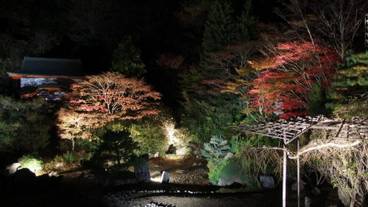 施設の敷地 / 17