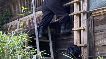 エコツアー / 14