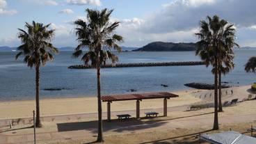 観光スポット / 11