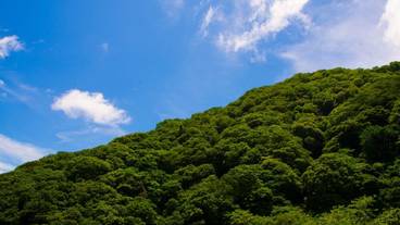 マウンテン ビュー / 22