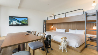 Rakuten STAY 熱海 バンクベッドルーム ペット同伴可･敷地外駐車場付/6名定員