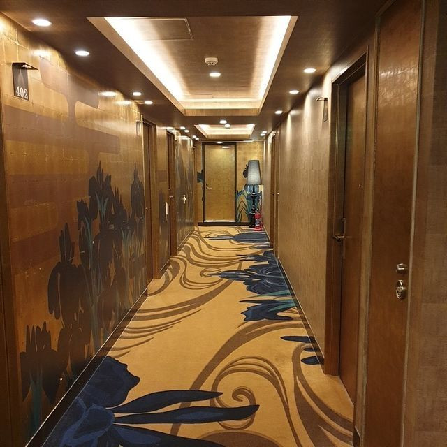 870daikichiさんの写真 / 1
