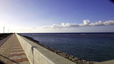 施設からの眺望 / 8