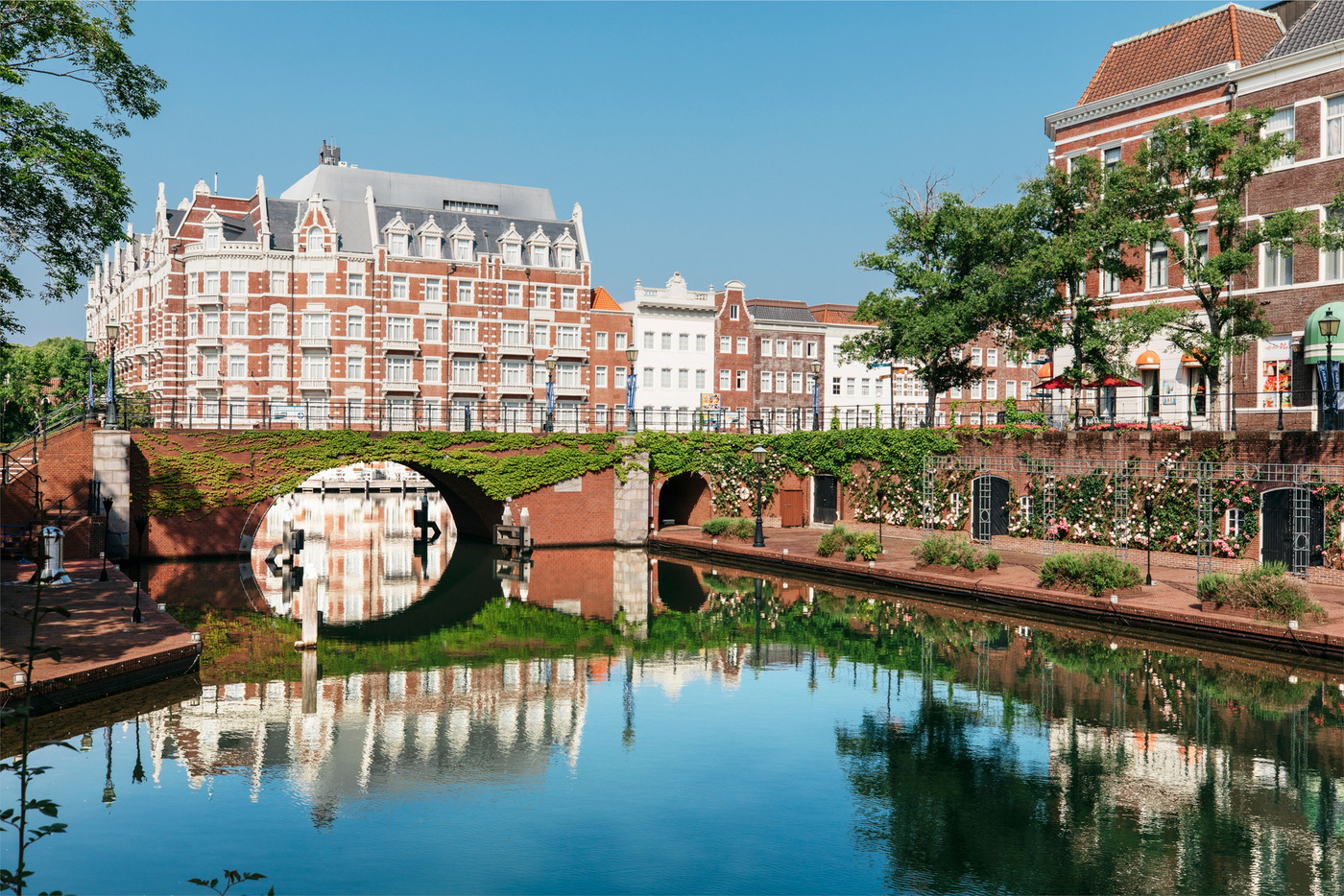 夏は 思い切り遊んで元気をチャージしたい！1892009