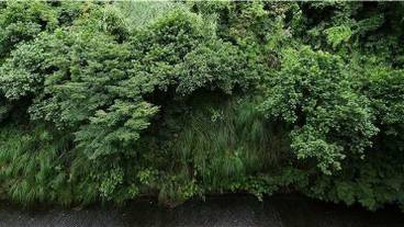 施設からの眺望 / 12