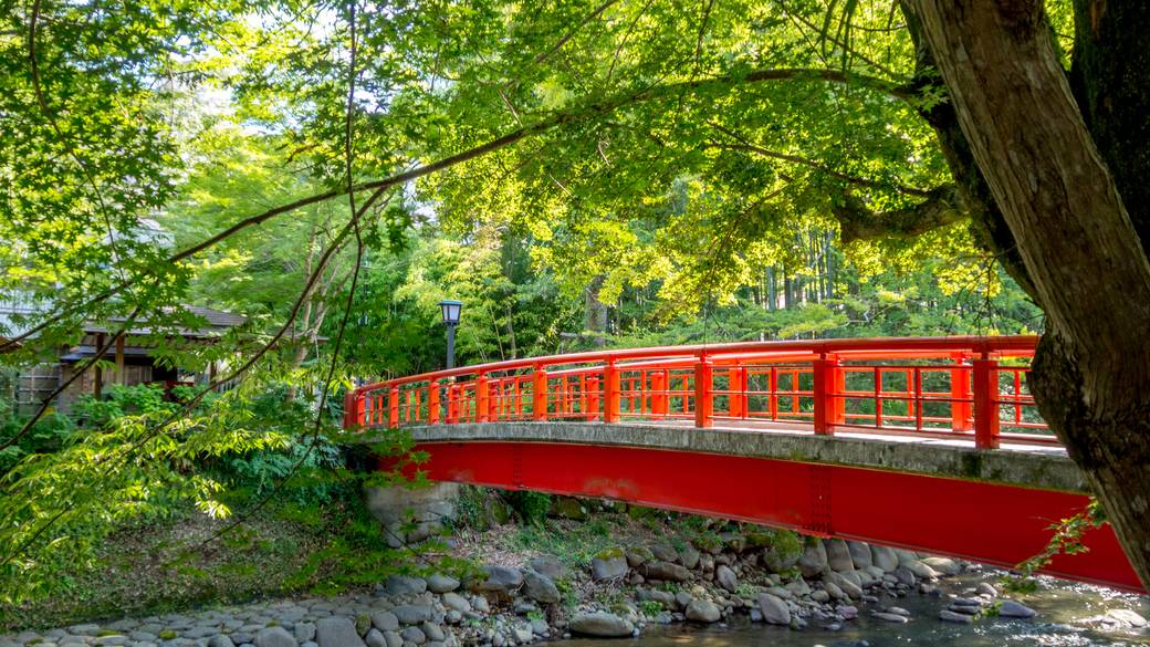 伊豆の観光名所を
車で巡ろう / 3