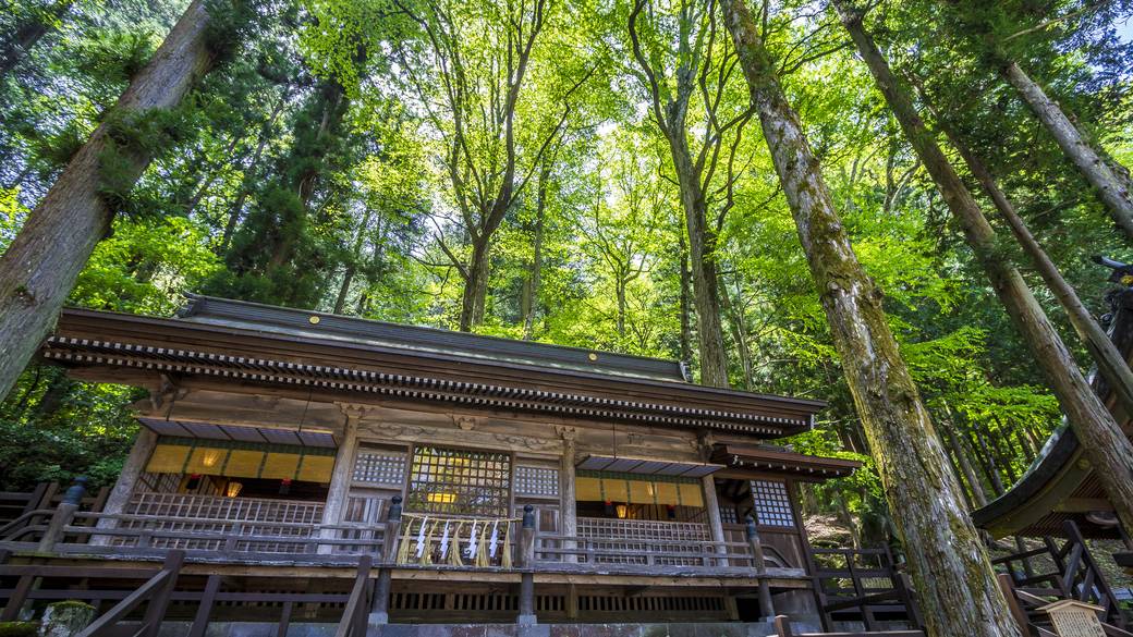 諏訪大社 上社本宮 勅願殿 / 2