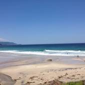 ヴィラ白浜(静岡県 別荘・ヴィラ・コンドミニアム) / 2