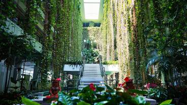 内部エントランス / 6