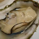 みやまえ（ミヤマエ）