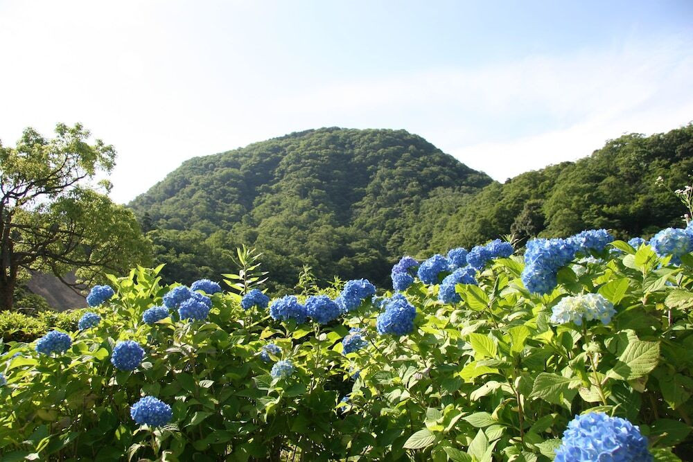 マウンテン ビュー