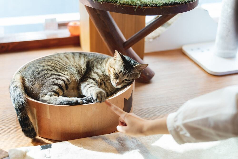 部屋からの景観