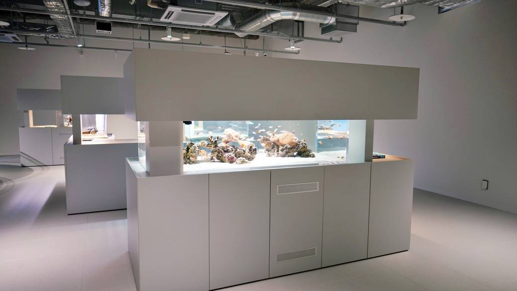 水族館 館内水槽① / 2