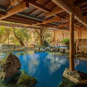 南伊豆弓ヶ浜温泉 季一遊（静岡県 旅館） / 3