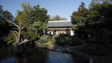 観光スポット / 11