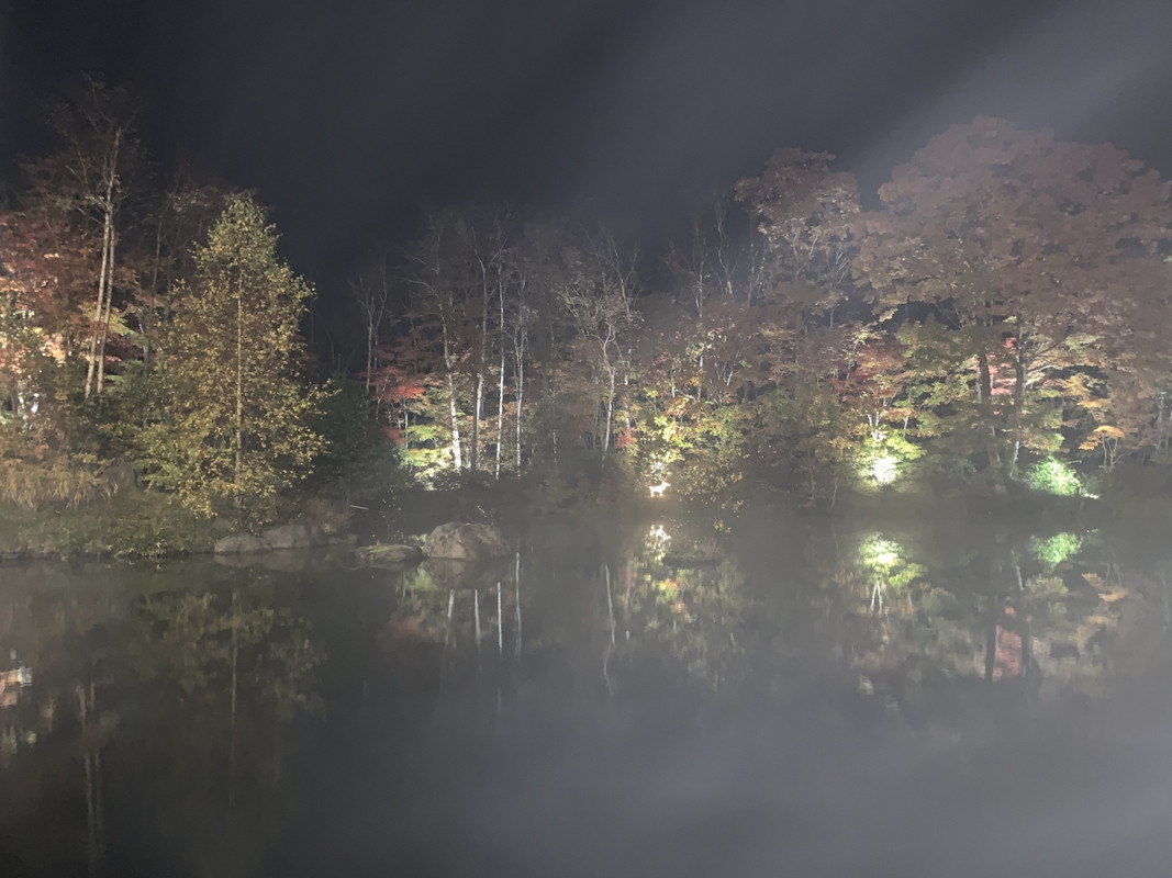 大浴場からのぞむ湯けむりの中の紅葉
