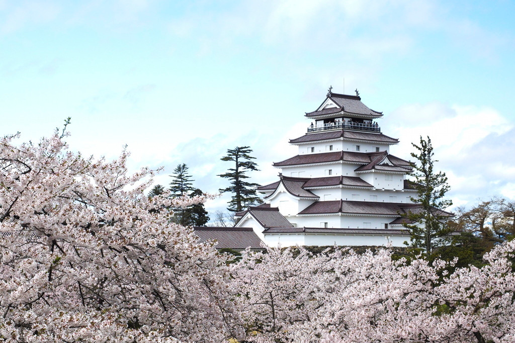 歴史や自然を感じる「福島」でペットとお泊り♪3965508