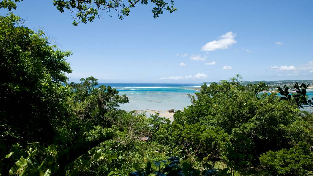 さちばるの庭 / 3