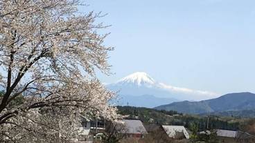 施設からの眺望 / 13
