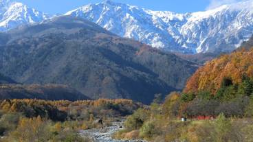 マウンテン ビュー / 30