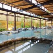 ニューウェルシティ湯河原(静岡県 旅館) / 5