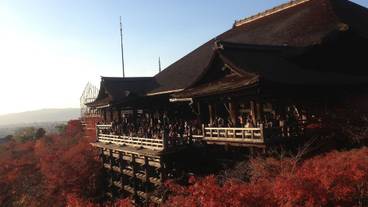 観光スポット / 5