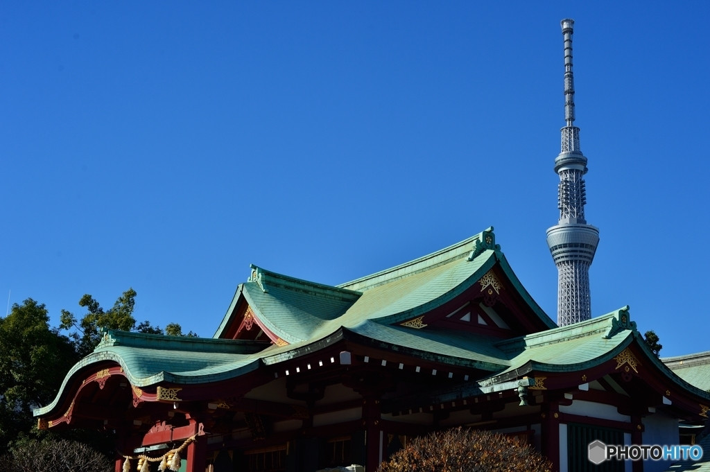 亀戸天神984924