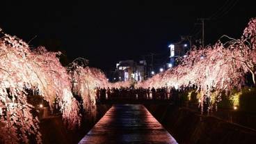 ランド ビュー / 18