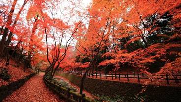 観光スポット / 4