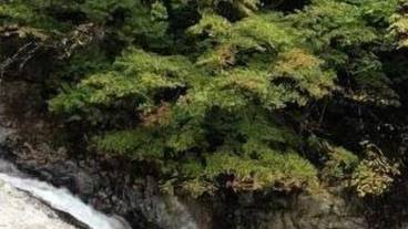 施設の敷地 / 14