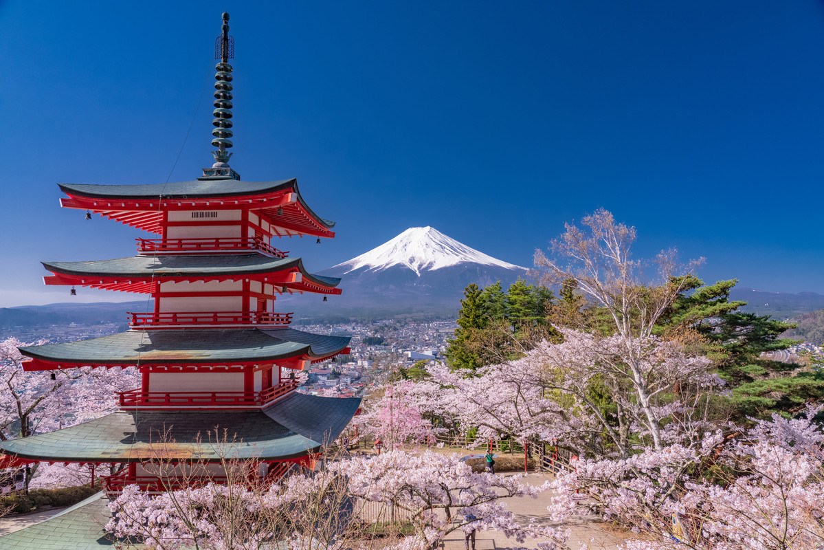 新倉山浅間公園から見る桜